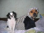 Нас постирали! ), 19-04-08