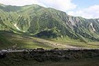 Зарская дорога, 14-08-08