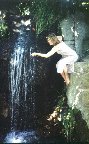 Алупка 2005, 09-10-08