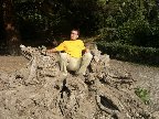 Природное кресло., 27-10-08