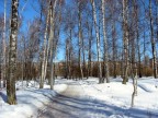 Парк им.Гайдара, 20-12-08
