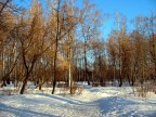 Парк им.Гайдара, 20-12-08