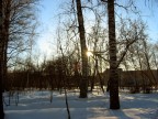 Парк им.Гайдара, 20-12-08