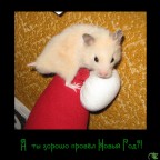 А ты хорошо провёл Новый Год?!, 01-01-09