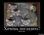 Давно пора., 17-01-09