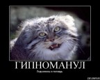 Подчинись и погладь!, 17-01-09