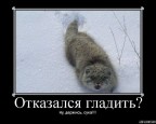 Ну, держись, сцуко!, 17-01-09