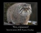 Что, страшно?, 17-01-09