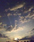 утреннее небо над садом, 16-06-09