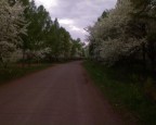 Парк победы. Весна., 11-08-09