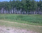 Трасса . За Омском., 11-08-09