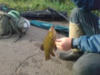 С добрым утром...., 16-10-09