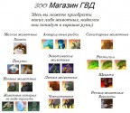 зоо магазин ГВД, 28-11-09