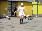 голуби здесь очень красиво запечатлены, 19-02-10
