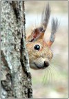 новичок в ФвТ, 23-02-10