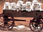 неподписанные мульты, 23-02-10