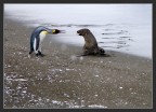 попытка примирения двух кланов, 23-02-10