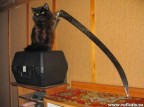 -Не боись мужик! Я за попугаем..., 27-02-10