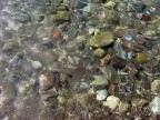 Эйлат, Красное море, 26-03-10