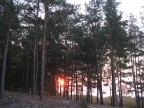 Еще немного и пора, 02-06-10