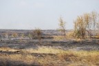МихайловскийРайон, 04-08-10