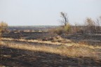 МихайловскийРайон, 04-08-10