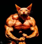 Котик-Атлет, 07-09-10