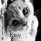 LittleKitty -анимашка, 10-11-10