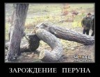 И это ПРИРОДА?, 25-12-10
