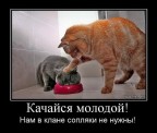 Какая-такая Дедовщина?, 25-12-10