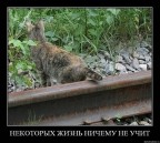 Осторожность - не наш конек ;((, 25-12-10