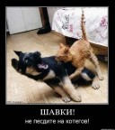 Щас порву!!!, 25-12-10