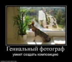 Залет горе "фотографа", 25-12-10