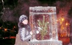 Сокольники), 11-01-11