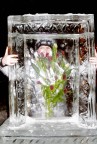 А цветочки во льду ..., 11-01-11