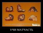 К вопросу о смекалке..., 08-04-11