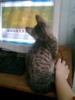 Интерееесно))), 21-04-11