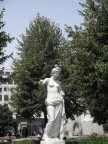 Голубь как бы наблюдает, 19-07-11