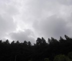 Лес вырос перед нами угрюмой стеной, 22-07-11