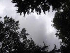 Становится всё мрачнее..., 22-07-11