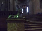 Сфотографируем льва, 12-08-11
