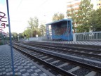 Какая то остановка, 12-08-11
