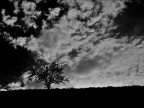 meine trаum, 30-09-11