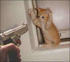 Мой Марсельез прям копия!!!, 13-01-12