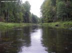 река Сясь,что означает-комариная, 06-04-12