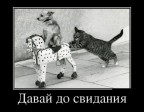 Давай, досвидания!, 27-07-12