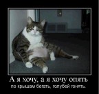 эх было время, ядрить-колотить =)), 31-08-12