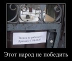 Бедная, измученная собачка, 11-10-12