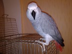 играем с одного компьютера =), 10-01-13