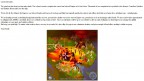 End of .com server, 26-01-13
